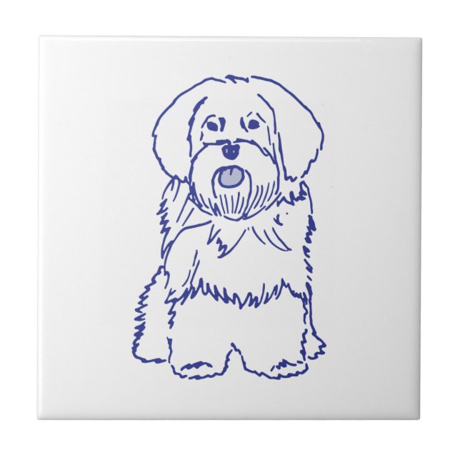 Azulejo Hunderasse Havanese (Frente)