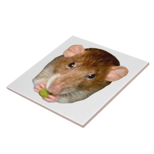 Azulejo Hungry Rat Tile (Lado)