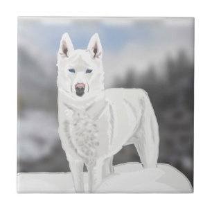 Azulejo Husky blanco