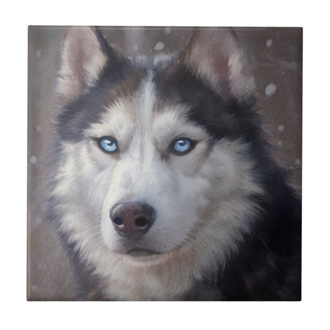 Azulejo Husky Siberian (Frente)