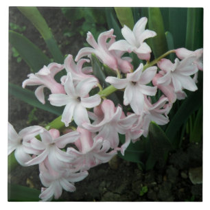 Azulejo Hyacinths Tile