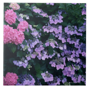 Azulejo Hydrangea 3