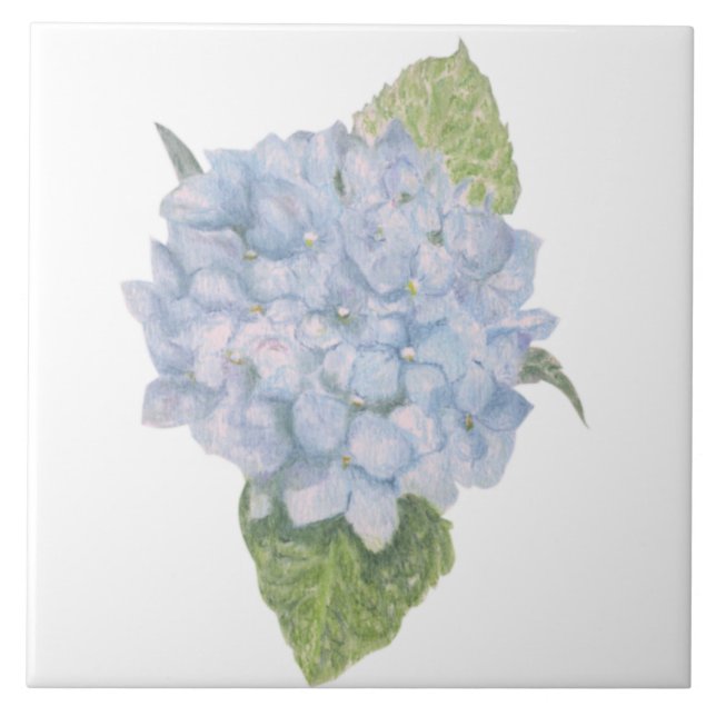 Azulejo Hydrangea azul (Frente)