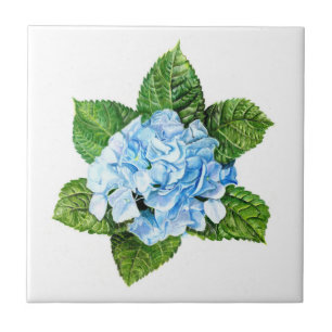 Azulejo Hydrangea azul