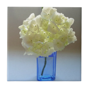 Azulejo hydrangea del annabelle