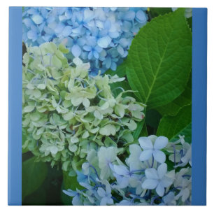 Azulejo Hydrangea Flowers