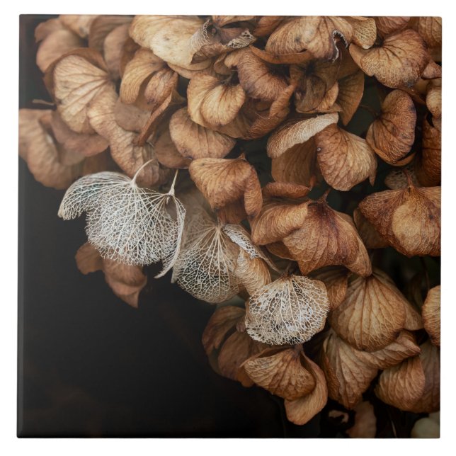 Azulejo Hydrangea Harta (Frente)