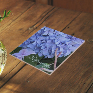 Azulejo Hydrangea Mophead Azul Floral en Flor