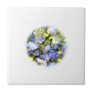 Azulejo Hydrangea Tile