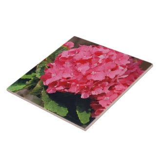Azulejo Hydrangeas rosa