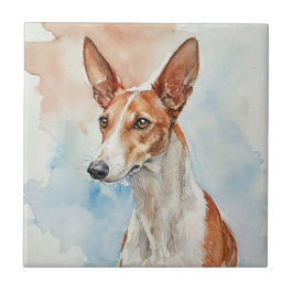 Azulejo Ibizan Hound Acrylic Photo Tile