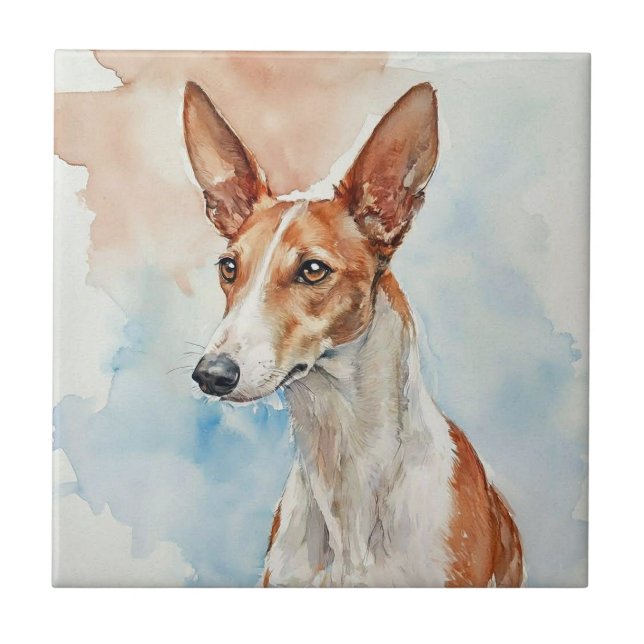 Azulejo Ibizan Hound Acrylic Photo Tile (Frente)