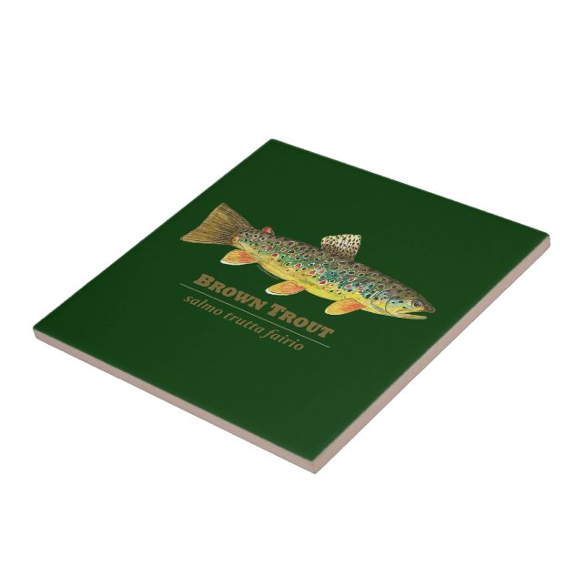 Azulejo Ichtiología latina de la trucha marrón (Lado)