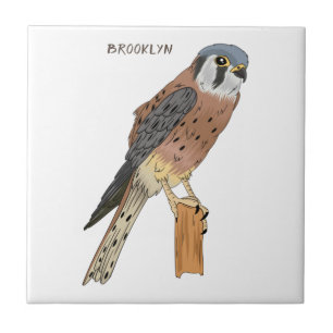 Azulejo Ilustracion americano de aves de Kestrel