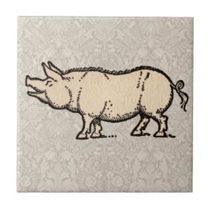 Azulejo Ilustración antigua de cerdo cute vintage