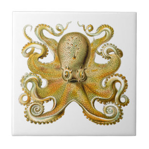 Azulejo Ilustración antigua de pulpo monstruo marino