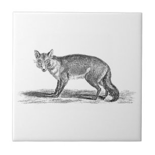 Azulejo Ilustracion astuto del Fox del vintage - zorros