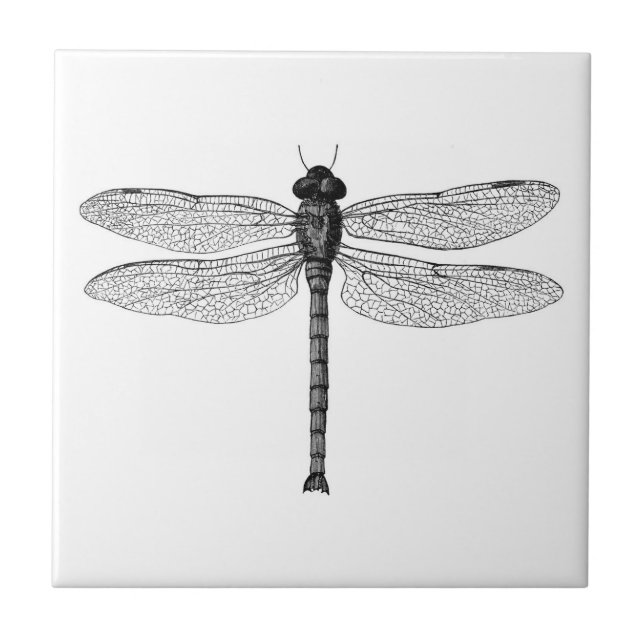 Azulejo Ilustracion blanco y negro de la libélula del (Frente)