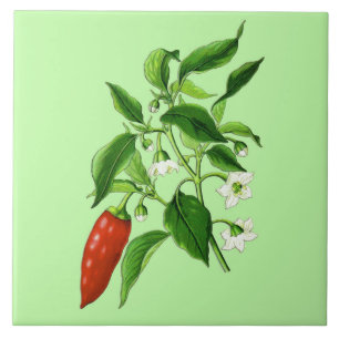 Azulejo Ilustracion Botánico Vintage, Pepper Chili
