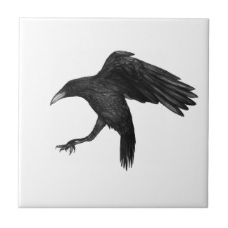 Azulejo Ilustracion Crow
