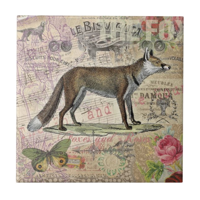 Azulejo Ilustracion de animales de la vida silvestre Fox (Frente)