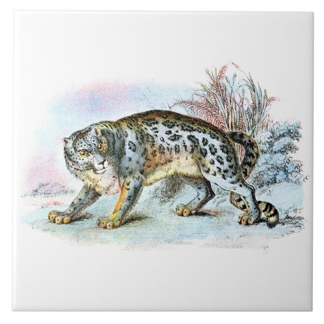 Azulejo Ilustracion de animales del leopardo de la nieve (Frente)
