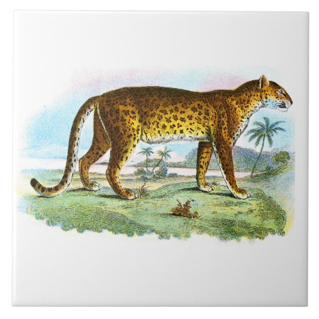 Azulejo Ilustracion de animales leopardo de época (Frente)