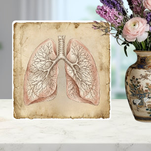 Azulejo Ilustración de boceto anatómico de pulmones vintag