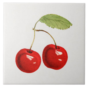 Azulejo Ilustración de cereza roja