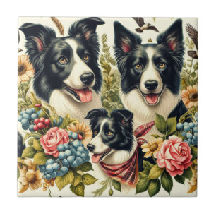 Azulejo Ilustracion de color de borde antiguo