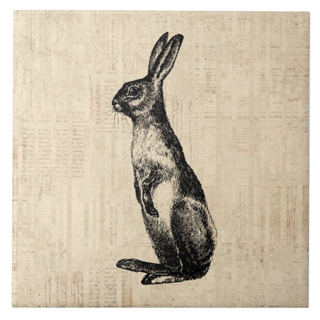 Azulejo Ilustracion de conejo de época conejita de moda (Frente)