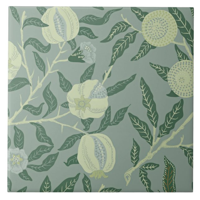 Azulejo Ilustracion de cosecha de fruta o granato de pomeg (Frente)