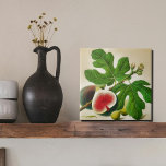 Azulejo Ilustracion de higo de época<br><div class="desc">Presentamos nuestro ilustracion de higo vintage, con frutas maduras y lujosas adornadas con hojas verdes vibrantes. Esta hermosa obra de arte capta la esencia del Mediterráneo, aportando un ambiente cálido y acogedor a cualquier espacio. El ilustracion está meticulosamente impreso en un azulejo cerámico de alta calidad, lo que lo convierte...</div>