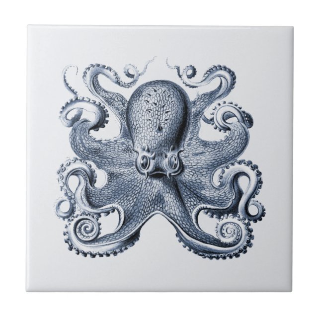 Azulejo ilustracion de pulpo azul de la marina, por Ernst  (Frente)