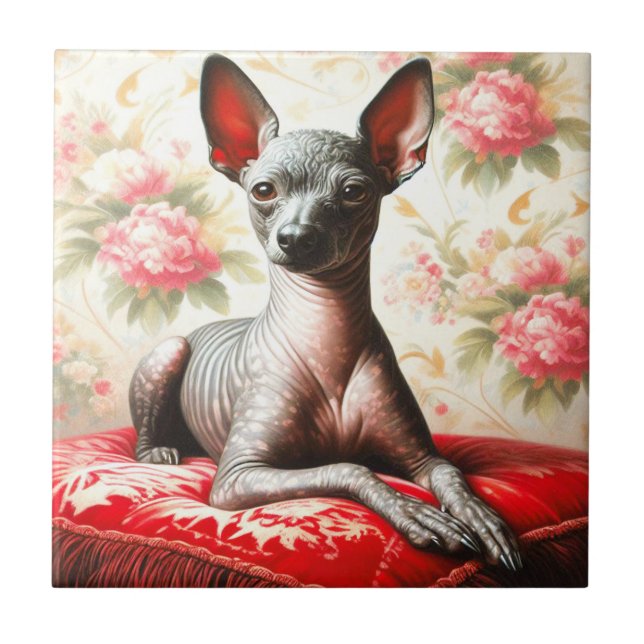 Azulejo Ilustracion de Xoloitzcuintle (Frente)