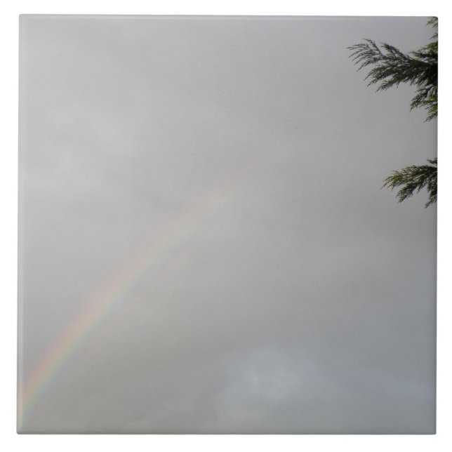 Azulejo Ilustración del arco iris (Frente)