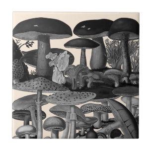 Azulejo Ilustración en negro y blanco de hongos vintage