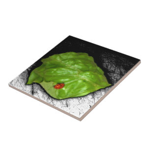 Azulejo Ilustracion esquemático de una parábola en la hoja