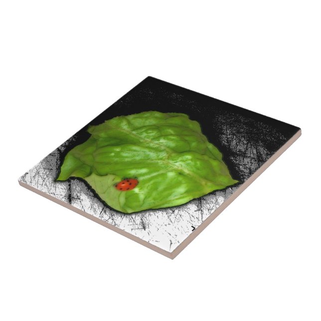 Azulejo Ilustracion esquemático de una parábola en la hoja (Lado)