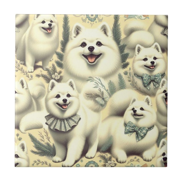 Azulejo Ilustracion esquimal retro americano (Frente)