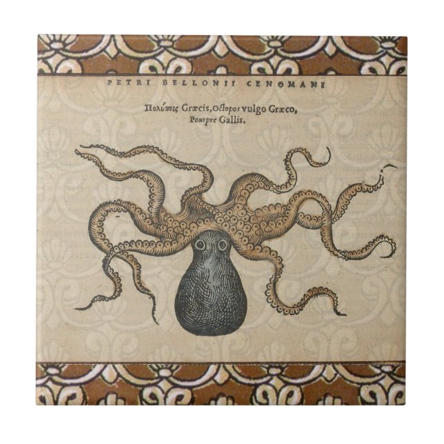 Azulejo Ilustracion Octopus Kraken Vintage (Frente)
