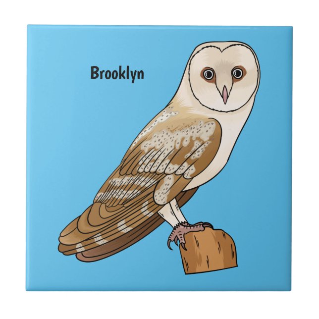Azulejo Ilustracion personalizado de aves de búho de Barn (Frente)