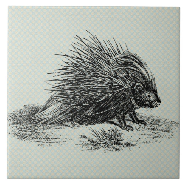 Azulejo Ilustracion Porcupine Vintage (Frente)