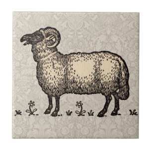 Azulejo Ilustración Vintage de Oveja: Arte Clásico de Gran