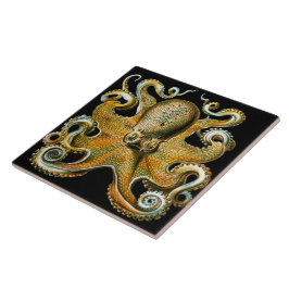 Azulejo Ilustración Vintage de Pulpo Dorado