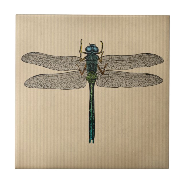 Azulejo Ilustracion Vintage Dragonfly (Frente)