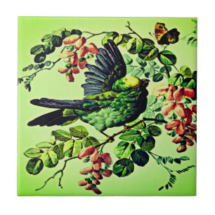 Azulejo Ilustracion Vintage Green Bird en L. Prang & Co 