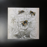 Azulejo Ilustracion vintage HoneyBee |<br><div class="desc">Ilustracion vintage HoneyBee | azulejos de cerámica ilustracion de naturaleza vintage de la humilde abeja de miel Fondo de marfil con láminas de miel de rayas negras y amarillas alimentadas con polen</div>