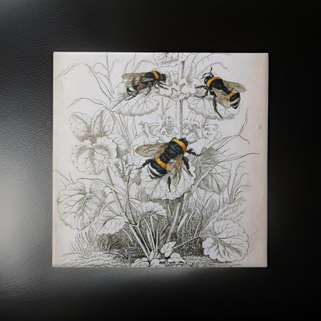 Azulejo Ilustracion vintage HoneyBee | (Subido por el creador)
