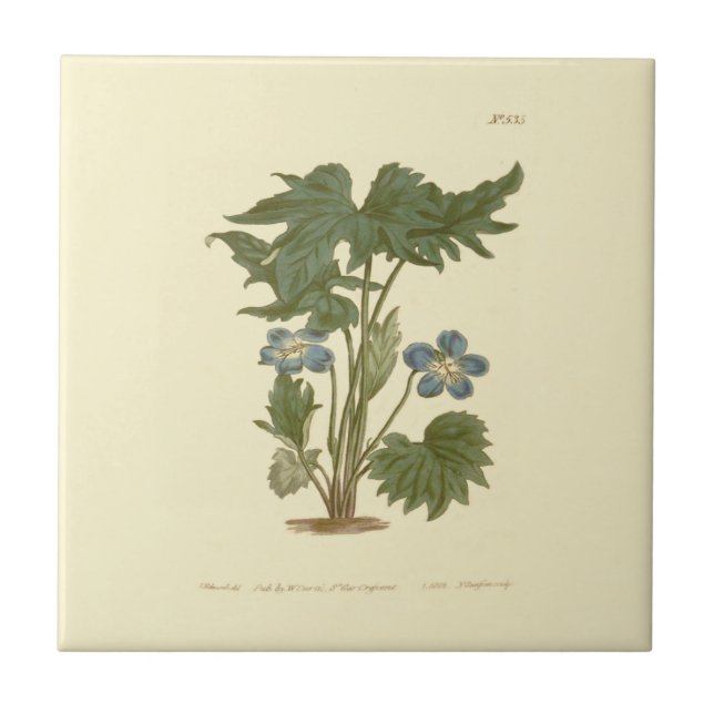 Azulejo Ilustración Violeta Azul Palmada (Frente)